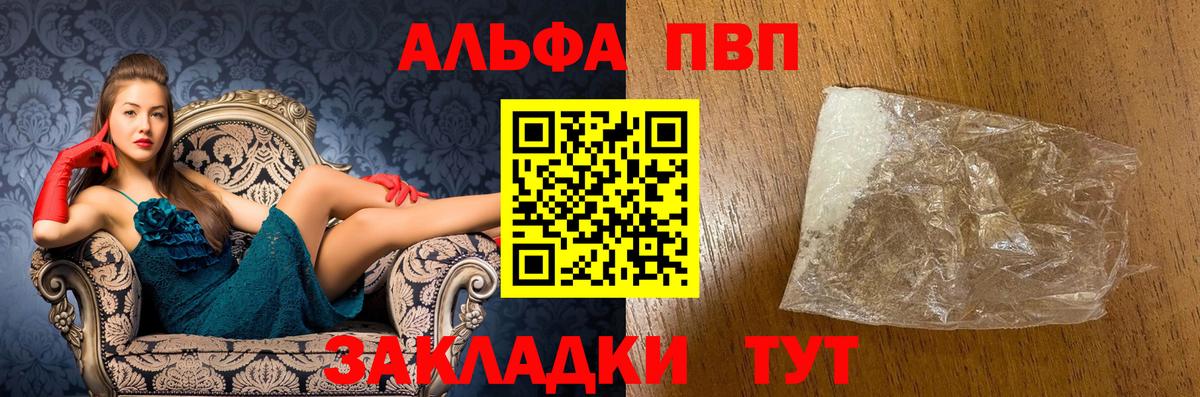 A PVP СК КРИС Светлоград