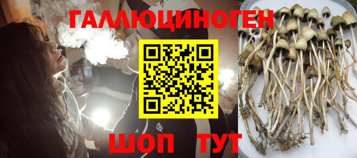 Галлюциногенные грибы мицелий  Вход с VPN  Светлоград 